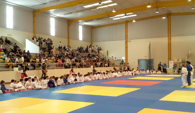 JUDOalmada